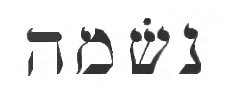 neshamah
